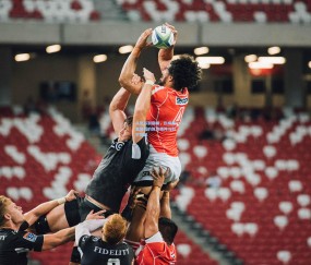 开云官网|从低谷到巅峰，伤病康复背后的体育精神与科学突破