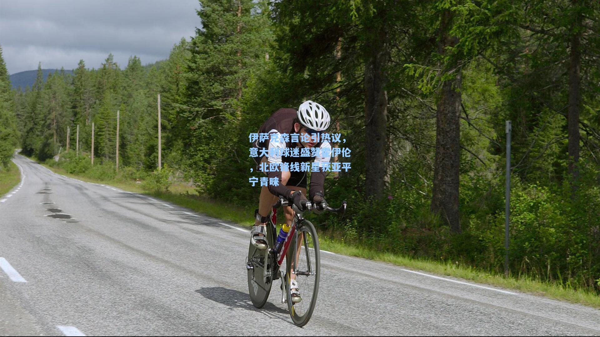 伊萨克森言论引热议，意大利球迷盛赞霍伊伦，北欧锋线新星获亚平宁青睐