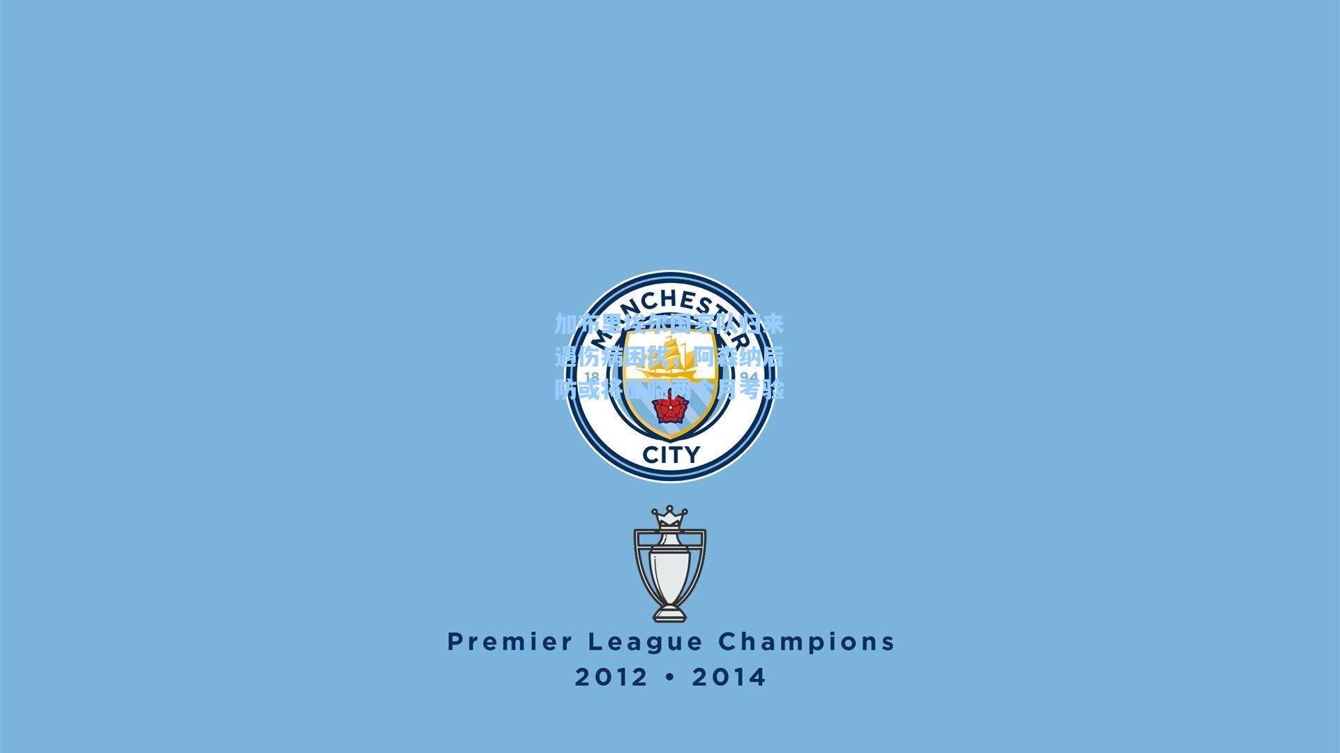 加布里埃尔国家队归来遇伤病困扰,阿森纳后防或将面临两个月考验